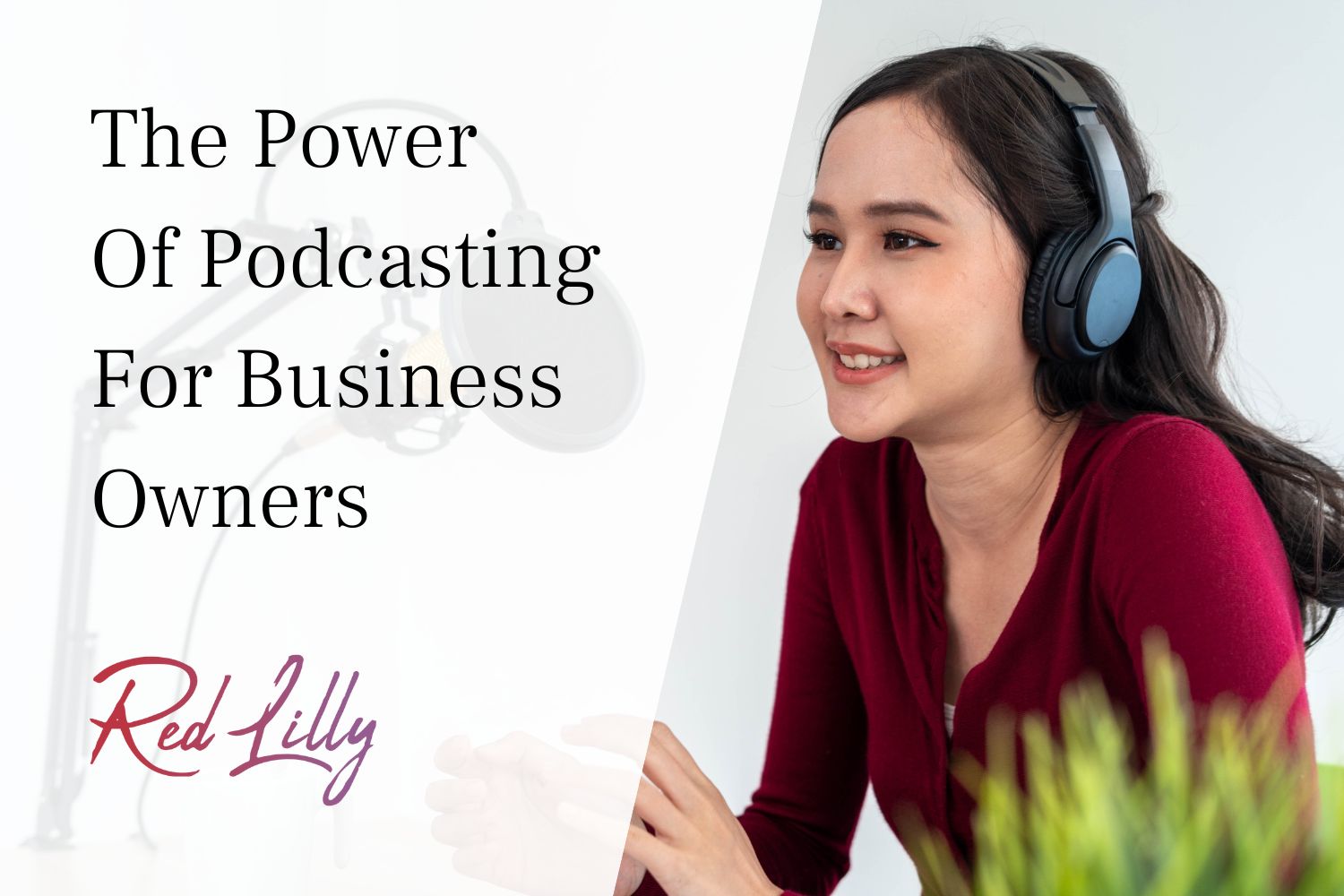 Red Lilly Digital - Podcasting For Small Business Owners