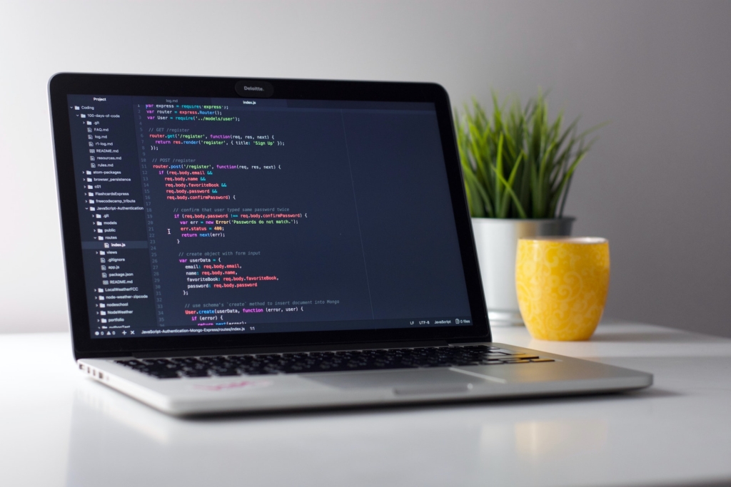 Red Lilly Digital - Custom Website Development - Advanced Ecommerce WordPress Websites