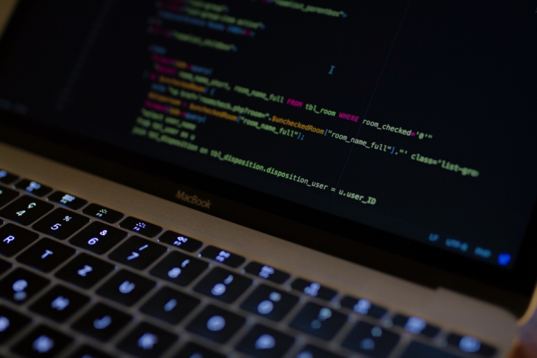 Red Lilly Digital - Custom Website Development - Membership Course and Appointment Booking Business WordPress Sites