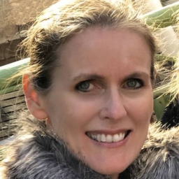 Red Lilly Digital - Testimonial - Carolyn I - WordPress Custom Development Support